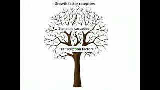 Simplified Methods for Investigating Deregulation of the Cell Cycle and Apoptosis in Cancer Progress