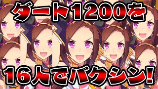 【ウマ娘魔改造育成】ダートS逃げ短距離Aランクバクシンオーができたのでちょっと16人でJBCスプリントを走ってメタルクウラ化してきた【サクラバクシンオー/カオス/長距離はちょっとお休み】