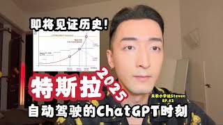 即将见证历史！特斯拉2025 自动驾驶的ChatGPT时刻！（美股小学徒Steven EP.42） 20250110