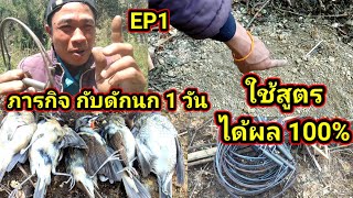 ภารกิจ กับดักนก 1 วัน ใช้สูตรนี้ หนานๆ ไดผล100% EP1