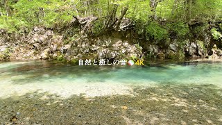 【自然の音】新緑の季節と渓谷を流れる川のせせらぎ、癒し、睡眠、リラックス、作業用BGM/River Sound/Nature Sounds/ASMR【２時間】