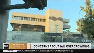 Protesters concerned about overcrowding in LA jails