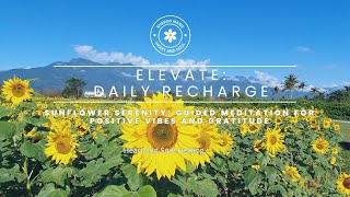 Sunflower Serenity: Guided Meditation for Positive Vibes and Gratitude