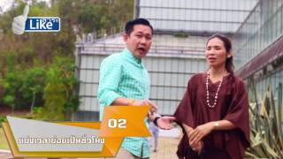 รายการ Like สาระ ตอนที่13 \