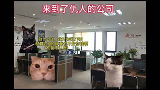 生命短暂，请不要等到失去了才知道后悔。。。 #shortvideo #真实改编 #cat #猫meme #故事 #memes