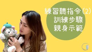 星兒聽指令| 訓練步驟 | 如何透過ABA 訓練改善?