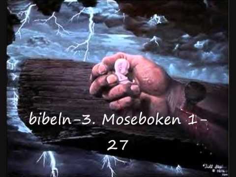 Bibeln 3 Moseboken 1 27 - YouTube