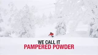 The secret powder paradise in Japan