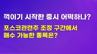 [백진수 지니어스] 꺽이기시작한 증시 어떡하나요? 포스코관련주 조정시매수가능한 종목은? MSCI이슈총정리