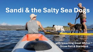 SURFSKI is LIFE: Sandi and the Salty SeaDogs