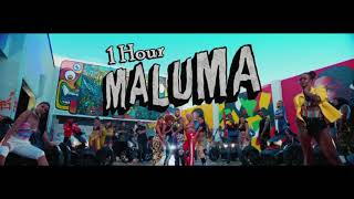 Maluma - HP [1 Hour] Loop