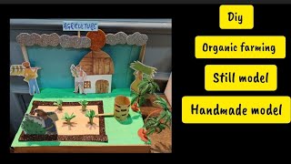 Organic farming model making| Agriculture model making DIY| science project| organic farming|