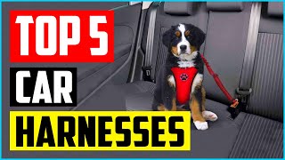 Top 5 Best Dog Car Harnesses in 2021 Reviews