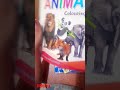 funny animals colouring book #esha publication # animals🐒🐈 #michutoys #shorts