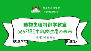 光が照らす鶏肉生産の未来【日本獣医生命科学大学 応用生命科学部 １分動画 動物生理制御学教室】