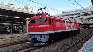 【小山車両センター撮影会送り込み回送】EF81 95が単機で大宮駅10番線を通過するシーン（単9021レ）2024.03.01