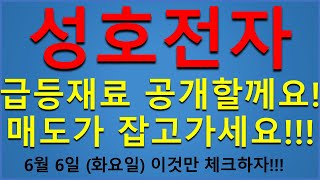 [주식][주가전망][급등주][성호전자]성호전자주가전망,성호전자전망,성호전자분석,성호전자목표가