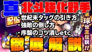 北斗強化野手序盤徹底解説前編!!基本はこれだけ!!結構簡単だぞ!![パワプロアプリ]