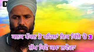 ਕਣਕ ਪੱਕਣ ਤੱਕ ਆਹ ਨੌਜਵਾਨ 1 ਕਿੱਲੇ ਚੋ ਕਮਾ ਲੈਵੇਗਾ ਸਵਾ ਦੋ ਲੱਖ ।। ਹਰੇ ਮਟਰਾਂ ਨੇ ਤਾ ਨਜ਼ਾਰਾ ਲਿਆਤਾ ।।