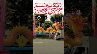 🇸🇬 First weekend of Singapore Chinatown 2024 New Year festive market 新加坡牛车水2024 农历新年 年货市场 #cny2024