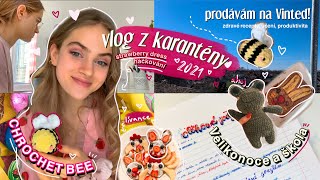 CO DĚLÁM DOMA BĚHEM KARANTÉNY! PRODUKTIVITA, učení, zdravé recepty, manifestace, VLOG