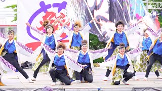 [4K] 名古屋学生チーム『鯱』　2023年度演舞『かけがえのない、輝きを』　犬山踊芸祭 2023 日曜日 (中央)