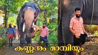 മധുരപ്പുറം കണ്ണനും മാമ്പിയും അടുപ്പുട്ടി പെരുന്നാളിന്  😍😍🥰 Madhurappuram Kannan \u0026 Mambi @Adupputty,