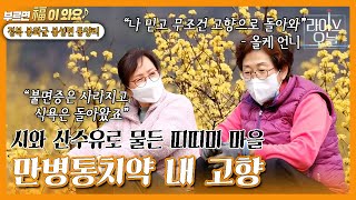 [라이브오늘_부르면 복이 와요] 경북 봉화군 봉성면 동양리 | KBS대구 220405