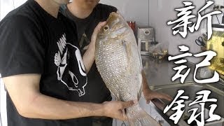 【巨大魚釣り】伊豆大島で６８cmたまんと対決！【関東ハマフエフキ】