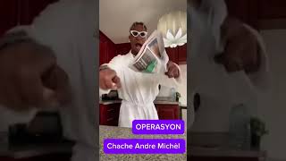 Mezanmi kouri vin gade ka bwa a mare pou Andre Michel