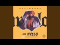 Daliwonga – Abo Mvelo (Official Audio) feat. Mellow & Sleazy & M.J