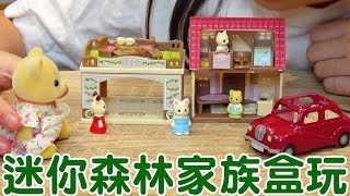 超精緻!縮小版森林家族盒玩+小劇場3篇[NyoNyoTV妞妞TV玩具]