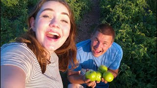 Aunt Becky's Fried Green Tomatoes!