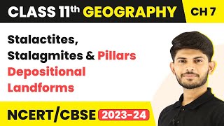 Stalactites, Stalagmites & Pillars - Depositional Landforms | Class 11 Geography