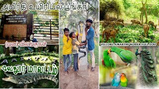 வேலூர் அமிர்தி Forest and waterfalls to Amirthi zoo park I Fun And Entertainment