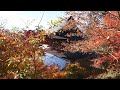 柳津町 福満虚空蔵菩薩圓藏寺 紅葉②