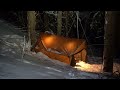 heavy snow solo camping hot tents and hammocks broken chimney.