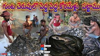 పెద్ద కోరమెళ్ళు  పట్టాము#villagevideos #fishing #penumudi #koramenu #fishhunting #prawnhunting #fish