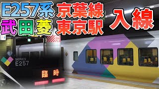 【武田菱京葉線入線】E257系 臨時特急さざなみ91号 京葉線 東京駅 入線 発車