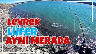 YENİ MERADA LEVREK \u0026 LÜFER AVI. ( Seabass \u0026 Blue Fish Caught New Spot)