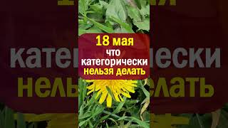 18 мая народный праздник день Арины Капустницы. Что нельзя делать. Народные приметы и традиции
