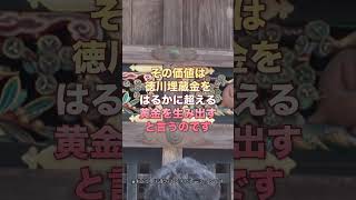 【徳川家のお金を生み出す秘法】日光東照宮で家康公の霊から助言#龍旅#透視#霊視#日光#日光東照宮#徳川家康#お金#龍#龍神#神社#寺#日本#日本再建#日本人#教え#スピリチュアル#金運#お金持ち#開運