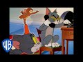 Tom & Jerry in italiano | La Tua Guida ai Cortometraggi Candidati agli Oscar | WB Kids