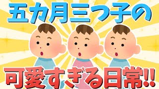 【2chほのぼの】五カ月三つ子の可愛すぎる日常!!【ゆっくり解説】