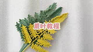 蕨叶教程