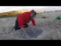 nsk natural history clearing an open fire 2018