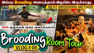 Brooding Room Tour | 800 குஞ்சுகள் வரை வளர்க்கும் Brooding முறை முழுமையான தகவல் # Brooding Room Vlog