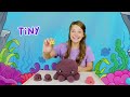 toddler learning learn sea animals best toddler learning videos learn colors for kids