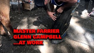 MASTER FARRIER