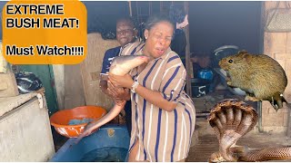 SHOCKING! Extreme Bushmeat!! Nigeria WILD Animal Market Tour! #Nigeria Africa Ep.1